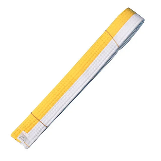 taekwondo ceinture