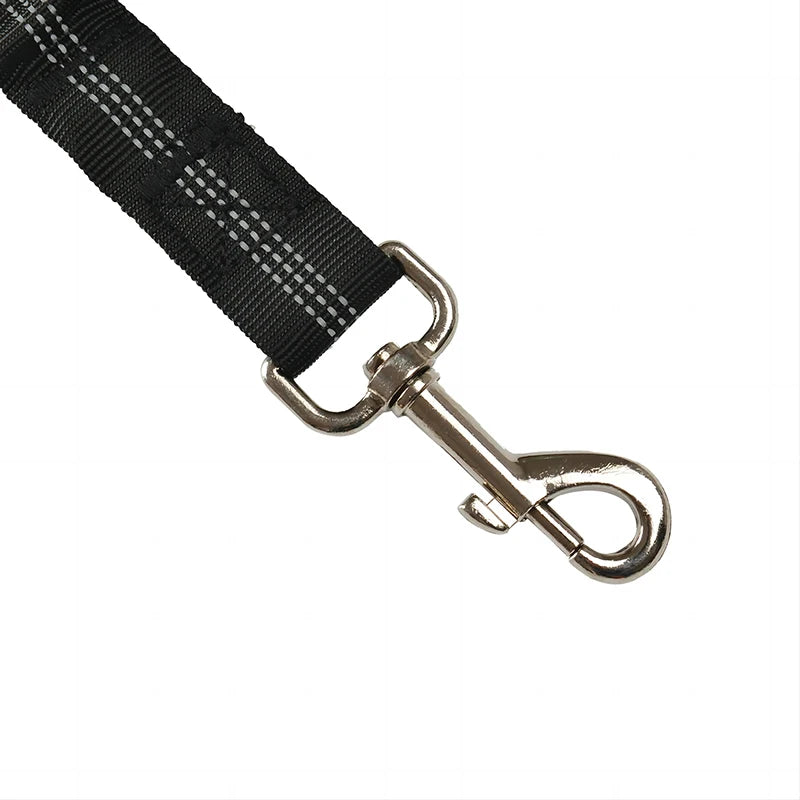 ceinture-de-securite-chien