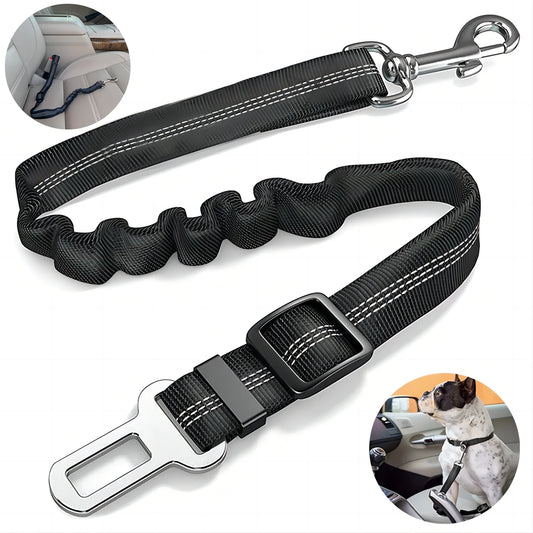 ceinture de securite chien